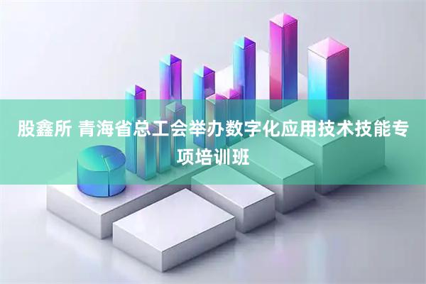 股鑫所 青海省总工会举办数字化应用技术技能专项培训班