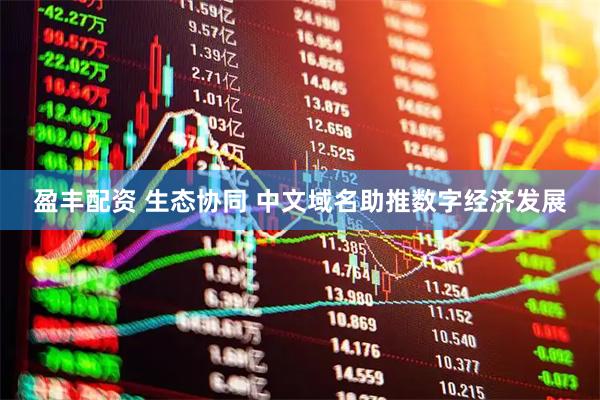 盈丰配资 生态协同 中文域名助推数字经济发展