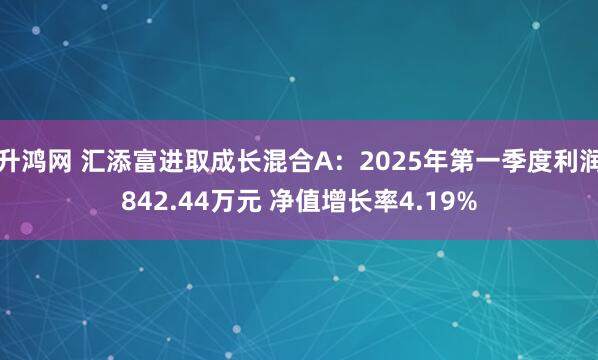 升鸿网 汇添富进取成长混合A：2025年第一季度利润842.44万元 净值增长率4.19%