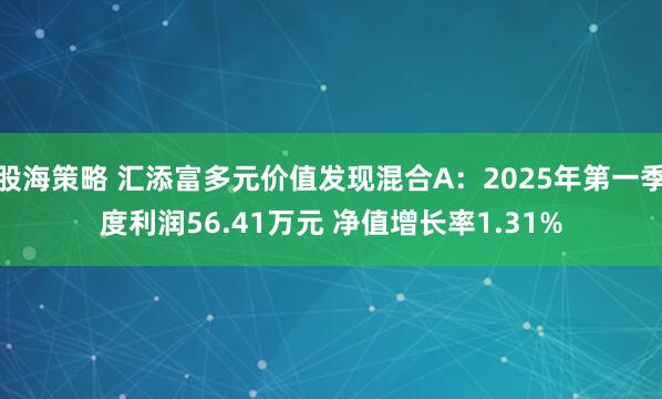股海策略 汇添富多元价值发现混合A：2025年第一季度利润56.41万元 净值增长率1.31%