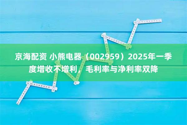 京海配资 小熊电器（002959）2025年一季度增收不增利，毛利率与净利率双降