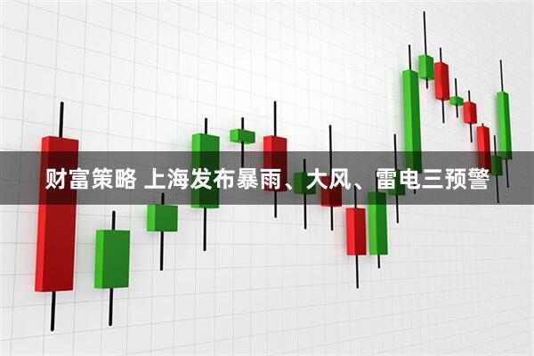 财富策略 上海发布暴雨、大风、雷电三预警