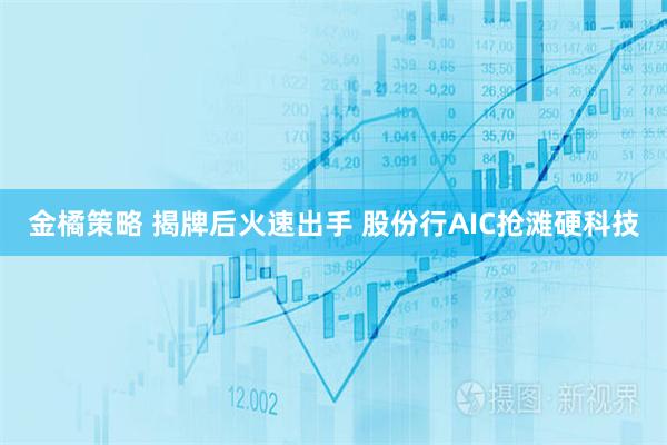 金橘策略 揭牌后火速出手 股份行AIC抢滩硬科技