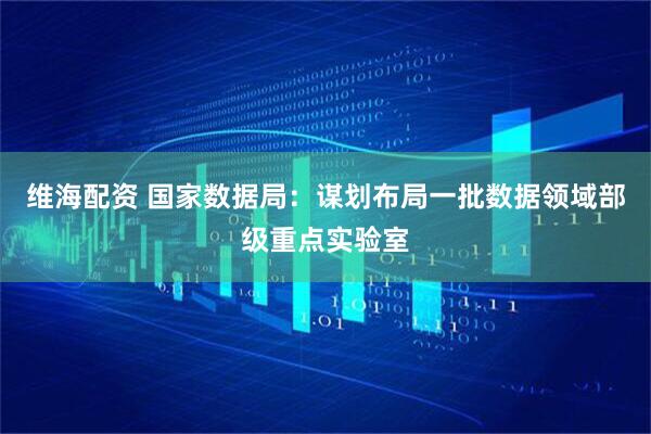 维海配资 国家数据局：谋划布局一批数据领域部级重点实验室