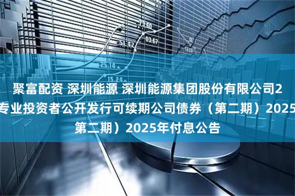 聚富配资 深圳能源 深圳能源集团股份有限公司2024年面向专业投资者公开发行可续期公司债券（第二期）2025年付息公告