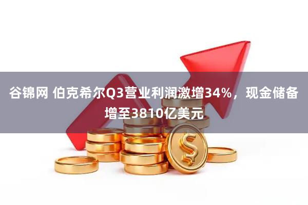 谷锦网 伯克希尔Q3营业利润激增34%，现金储备增至3810亿美元