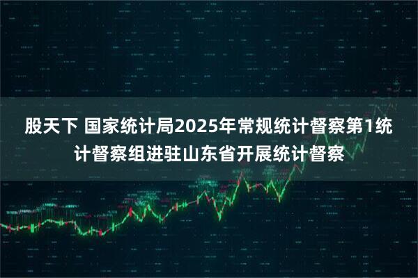 股天下 国家统计局2025年常规统计督察第1统计督察组进驻山东省开展统计督察